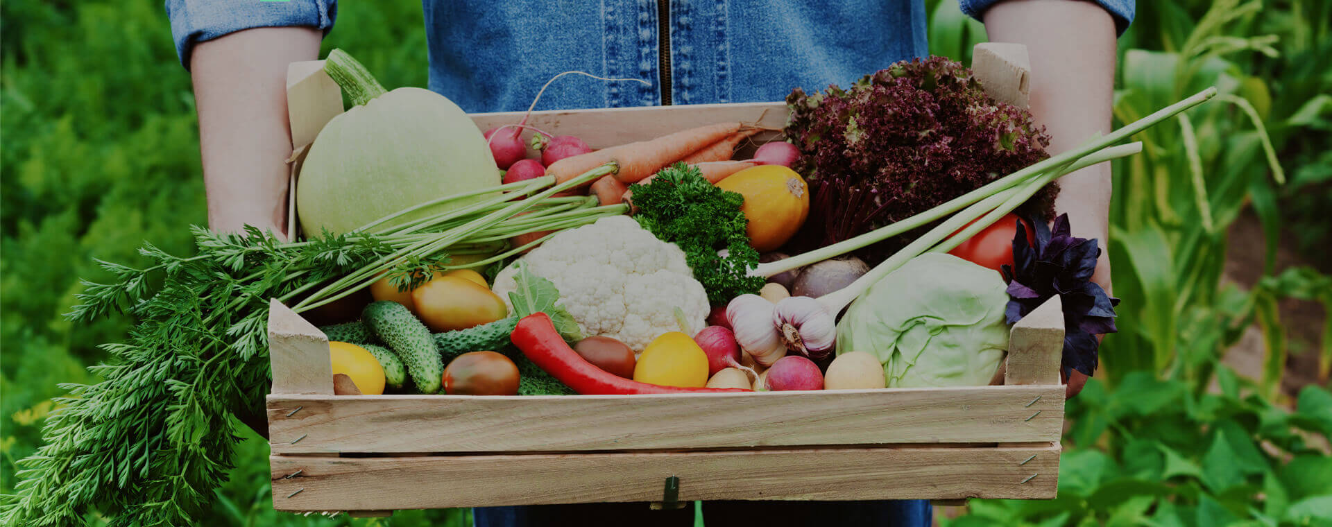 Agri Doctor Organic and Jaivik Farming